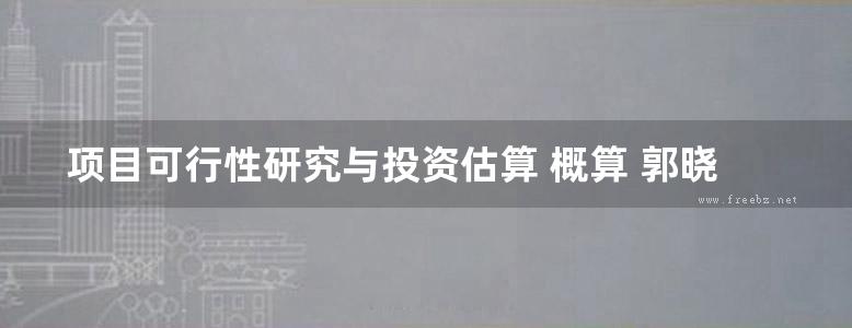 项目可行性研究与投资估算 概算 郭晓平